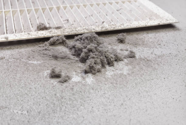 Best Commercial Air Duct Cleaning  in Essex, MD