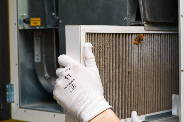 Best Commercial Air Duct Cleaning  in Essex, MD