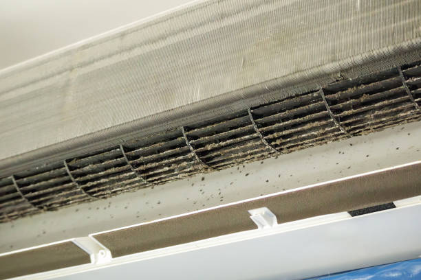 Best Best Air Duct Cleaning Company  in Essex, MD